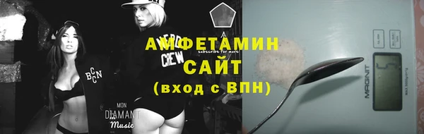гидра Вяземский