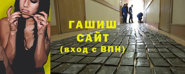 прущие грибы Горно-Алтайск